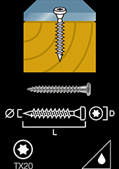 Anchor screw